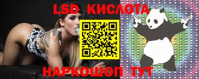 индика Кулебаки