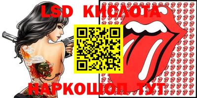 индика Кулебаки