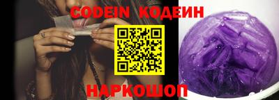 индика Кулебаки