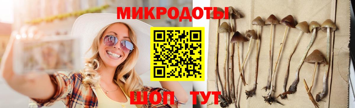 Кимовск  Псилоцибиновые грибы Magic Shrooms  купить наркоту  Вход с VPN 